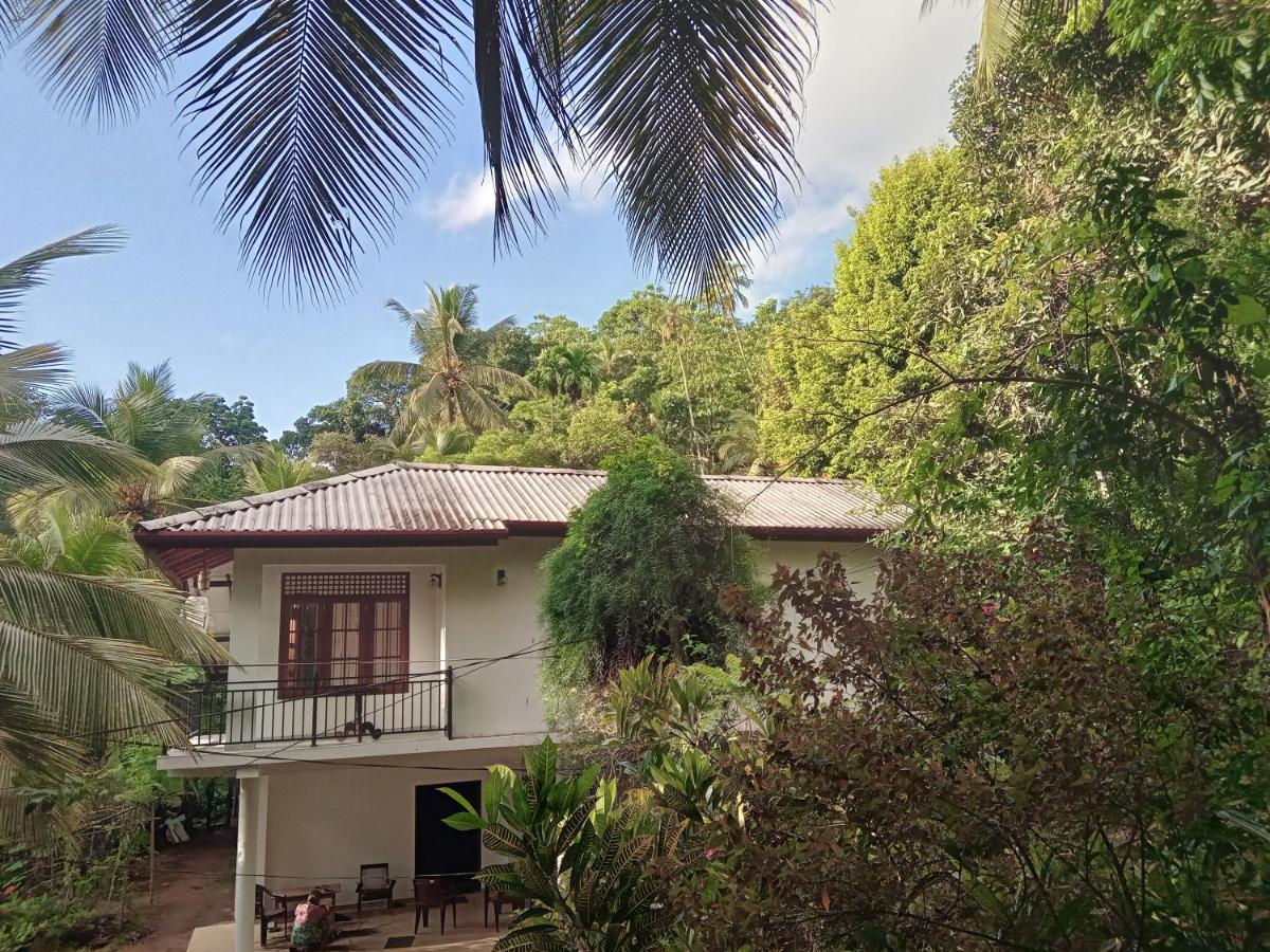Jungle Village Homestay Pinnawala  Exterior photo