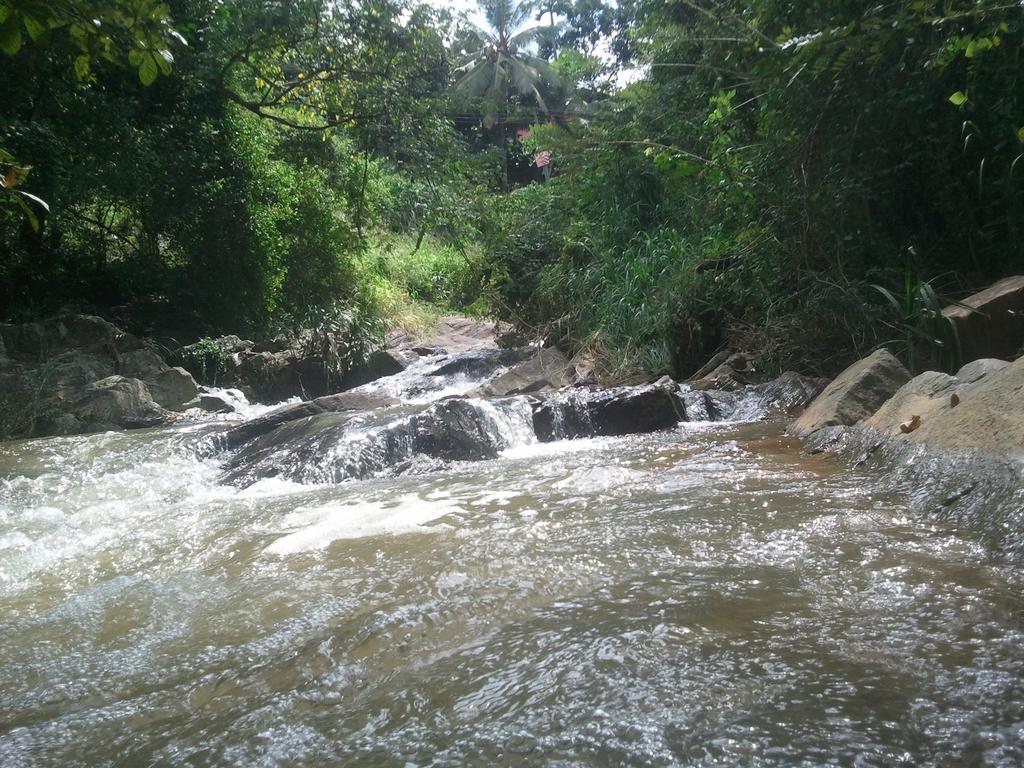 Jungle Village Homestay Pinnawala  Exterior photo